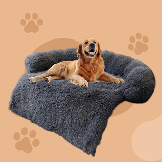 Dog Beds